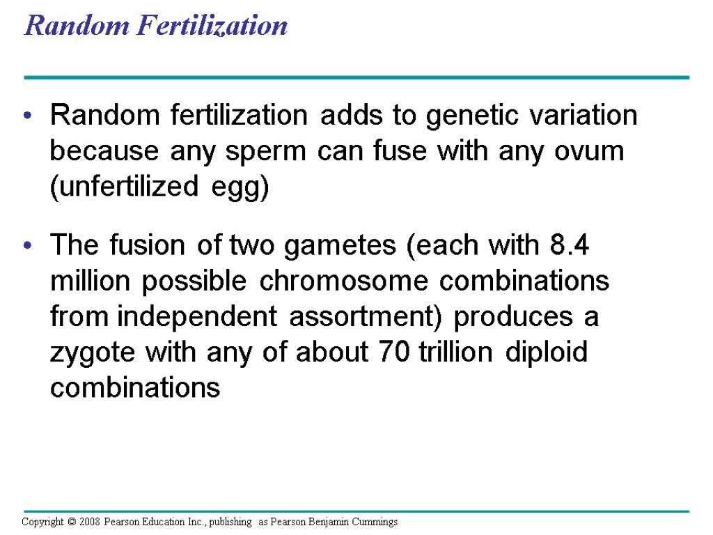 Random Fertilization Random fertilization adds to genetic variation because any sperm can fuse with